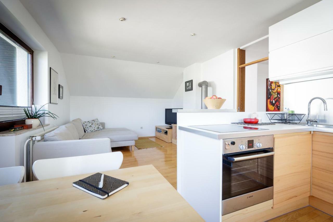 Cosy & Spacious Apt. Benc Zirovnica Bagian luar foto